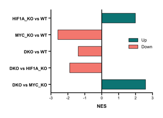 Glycolysis Gene-Set Enrichment Scores — Column bar graph · Mean ± SD