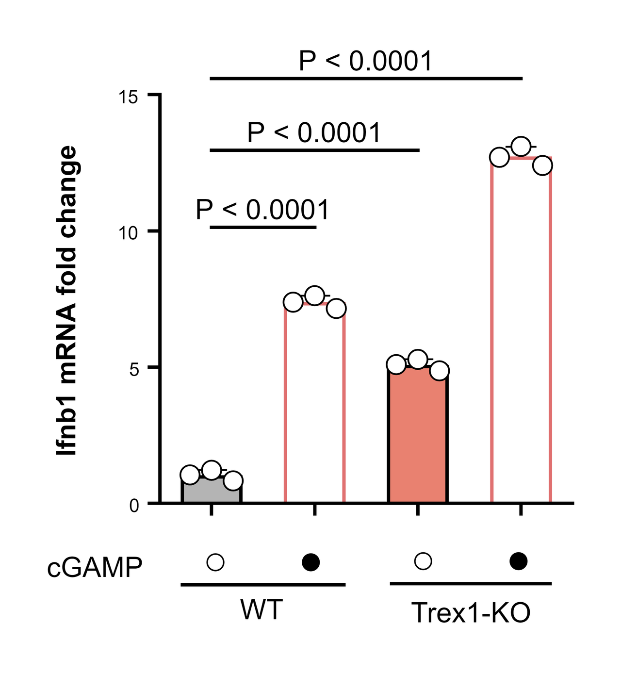 Ifnb1 Induction by Genotype and cGAMP — Column bar graph · Mean ± SD