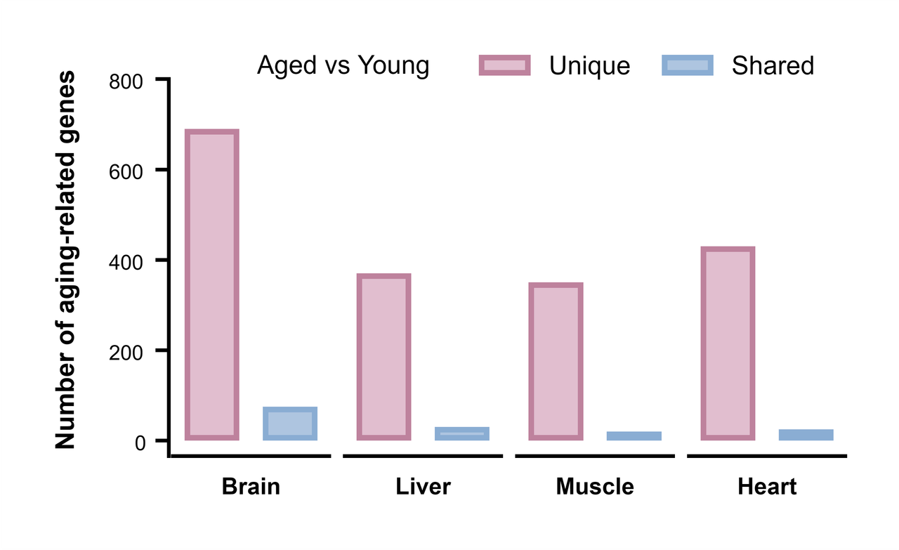 Aging-Related Genes across Tissues — Interleaved bars · Mean ± SD