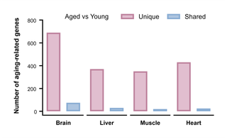 Aging-Related Genes across Tissues — Interleaved bars · Mean ± SD