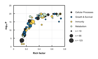 KEGG Pathway Enrichment Bubble Plot — Bubble plot · Size + color encoding